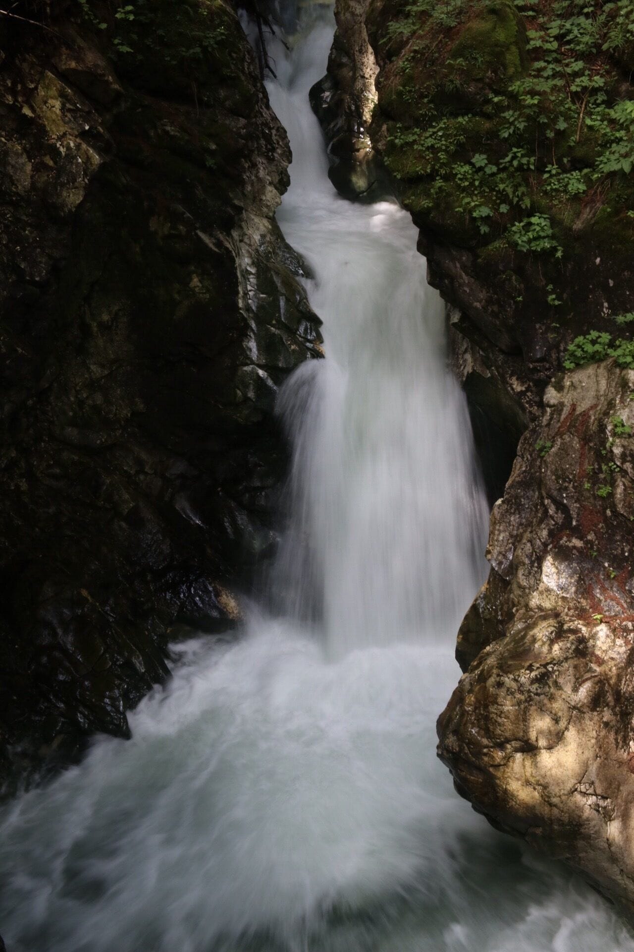 Una cascada se precipita por un desfiladero rocoso con rocas cubiertas de musgo y vegetación densa.