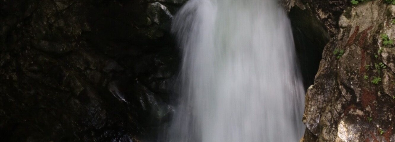 Una cascada se precipita por un desfiladero rocoso con rocas cubiertas de musgo y vegetación densa.