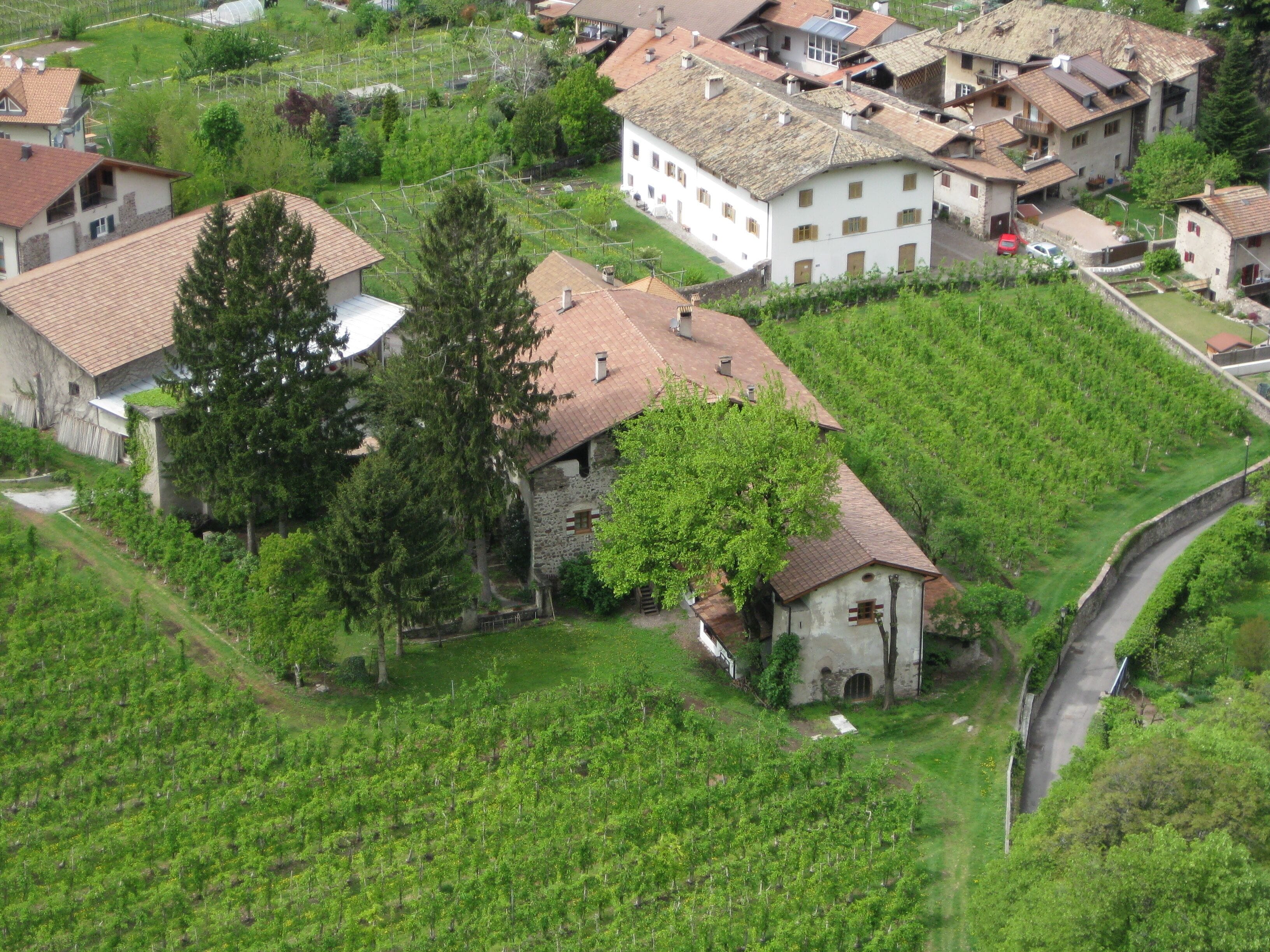 A rural village with stone houses, vineyards, and a winding road.