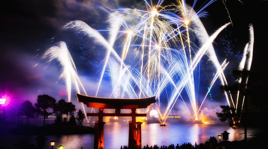 Epcot® featuring a fountain and night scenes