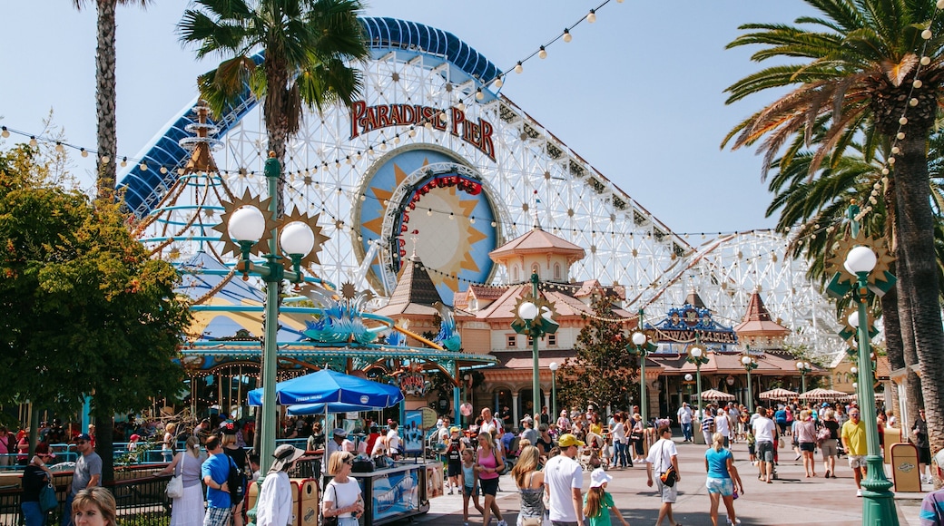 Disney California Adventure® Park showing rides as well as a large group of people