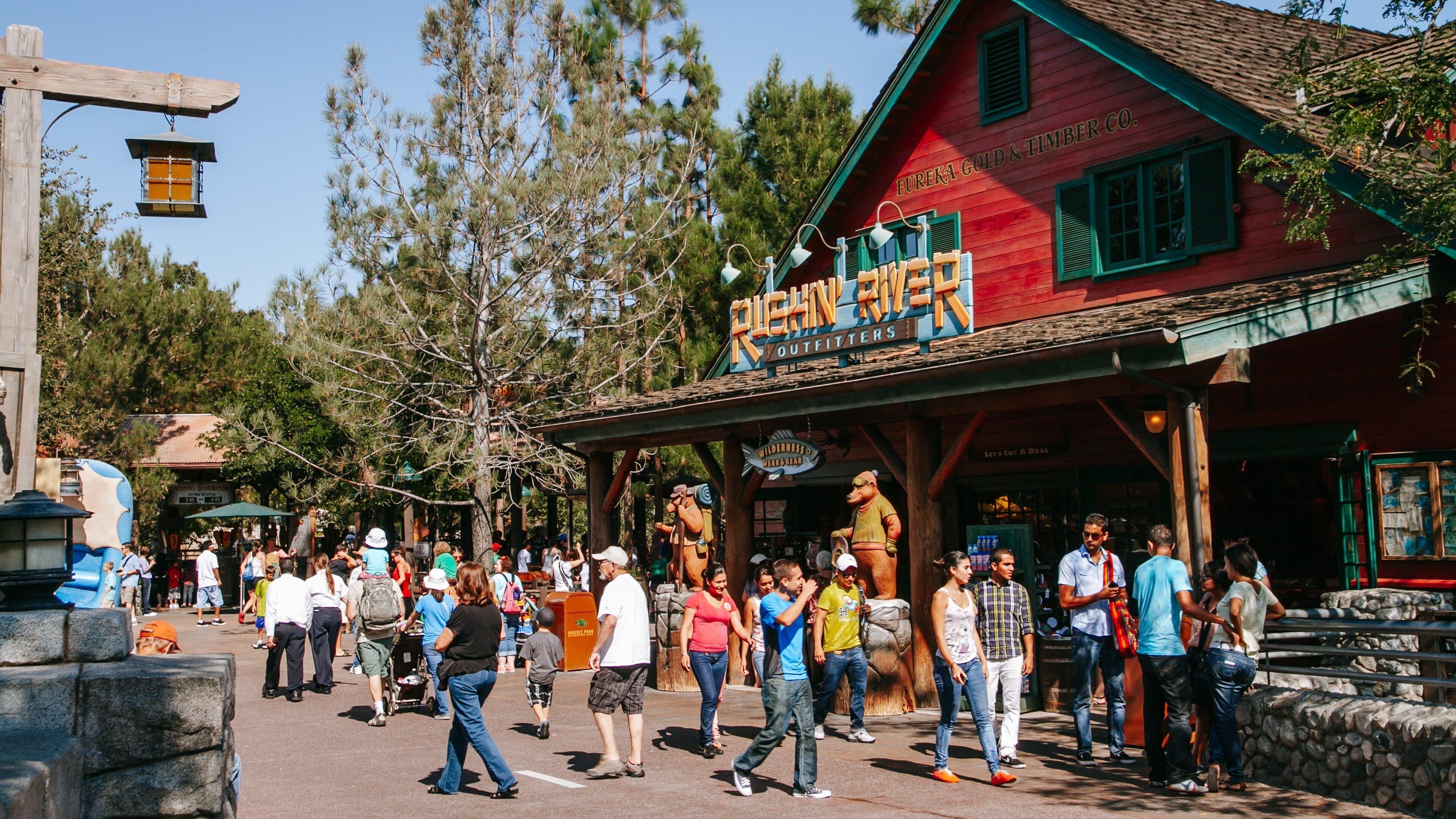 Disney California Adventure® Park which includes street scenes and rides