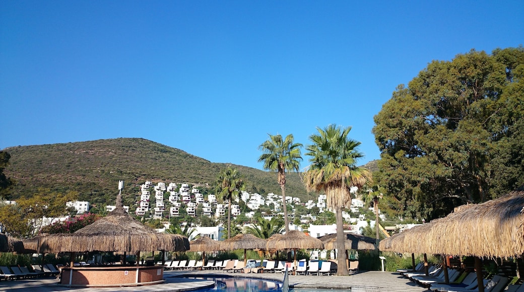 turquie bodrum voyage torba