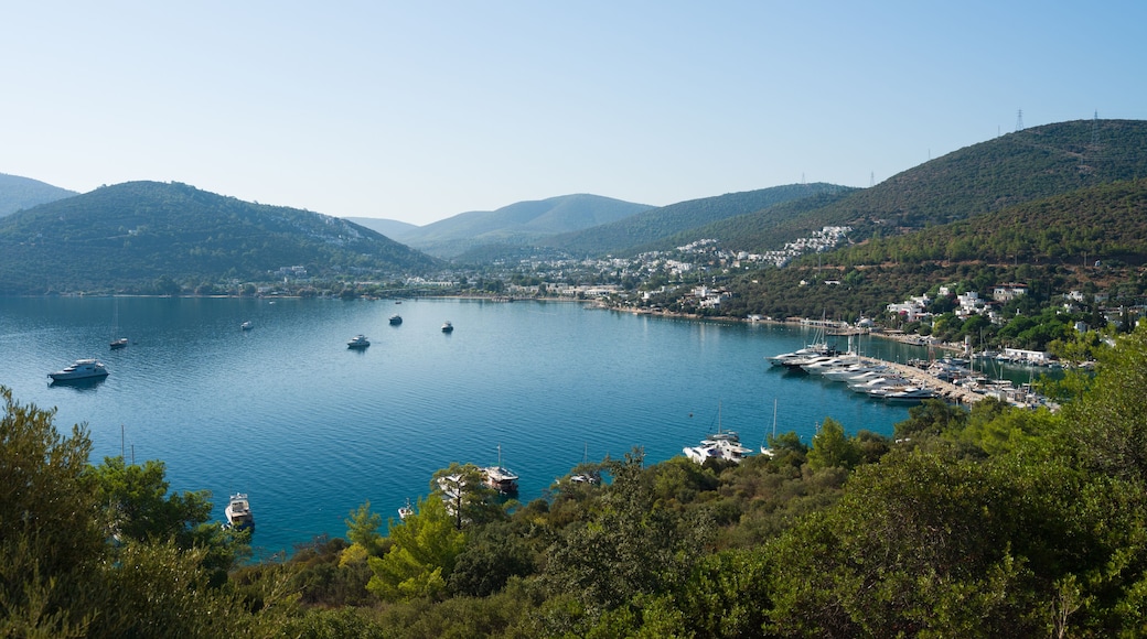 Torba bay and beach. Bodrum peninsula. Aegean coast. Turkey holidays and travel. Mugla city, Turkey - 4k video