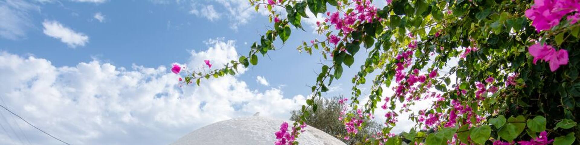 Torba,Bodrum; Shutterstock ID 331243688; PO: Hcom Destination Content neighborhoods; Client: Hotels.com; Other: Hcom brand budge