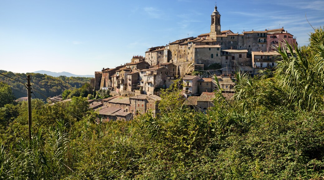 Latera, Viterbo, Lazio, Italy: landscape of the ancient hill town near the Lake Bolsena