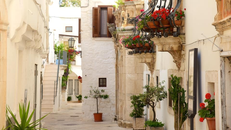 A narrow street with white buildings, potted plants, and red flowers on balconies.