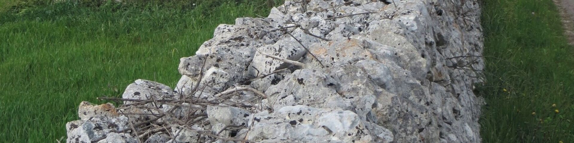 Trulli farm in the Puglia,Italy countryside