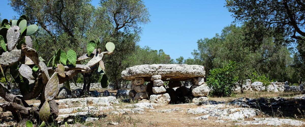 A rocky landscape with large cacti and a stone structure.