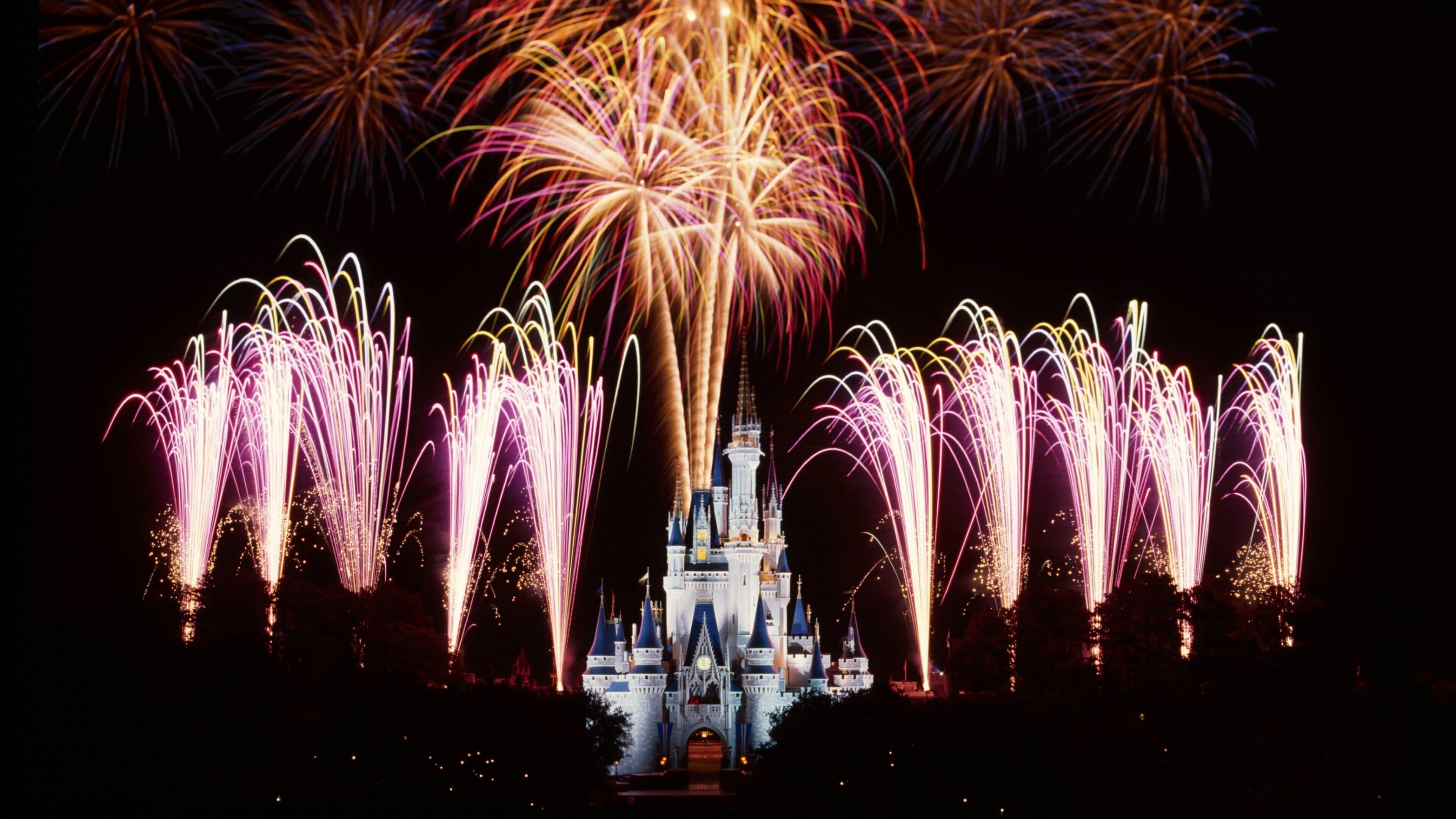 Fireworks illuminate the night sky over a magical castle in Lake Buena Vista, Florida