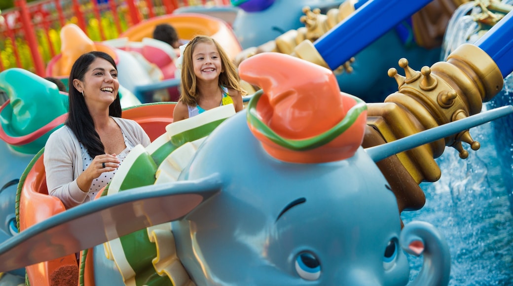 Magic Kingdom® Theme Park