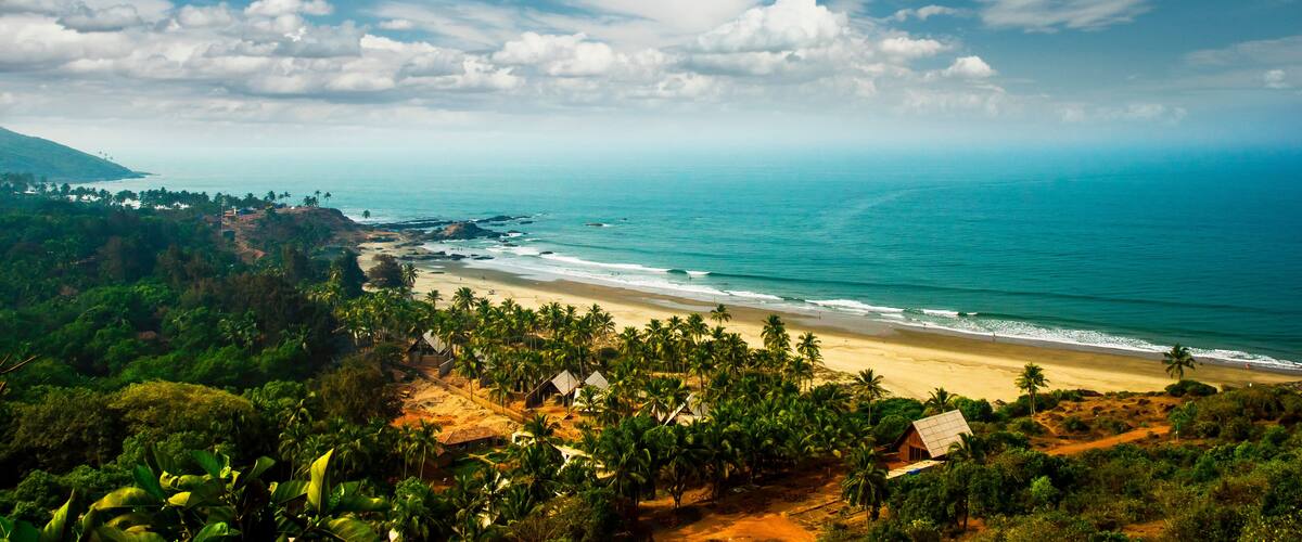A tropical beach with palm trees, a sandy shore, and a clear blue sky.