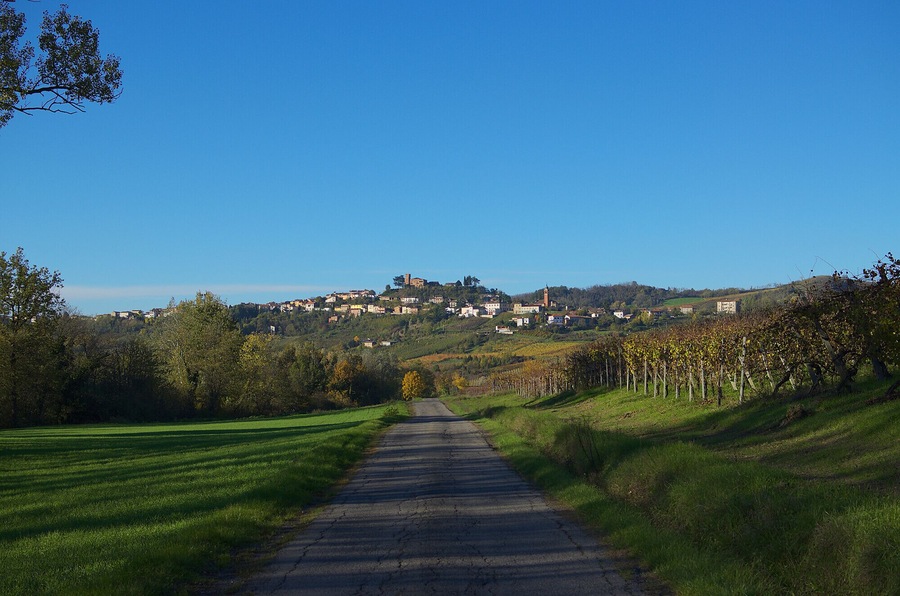 Mornico
