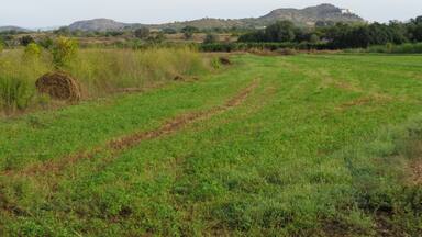 A rural landscape with a grassy field, hay bales, and distant hills.
