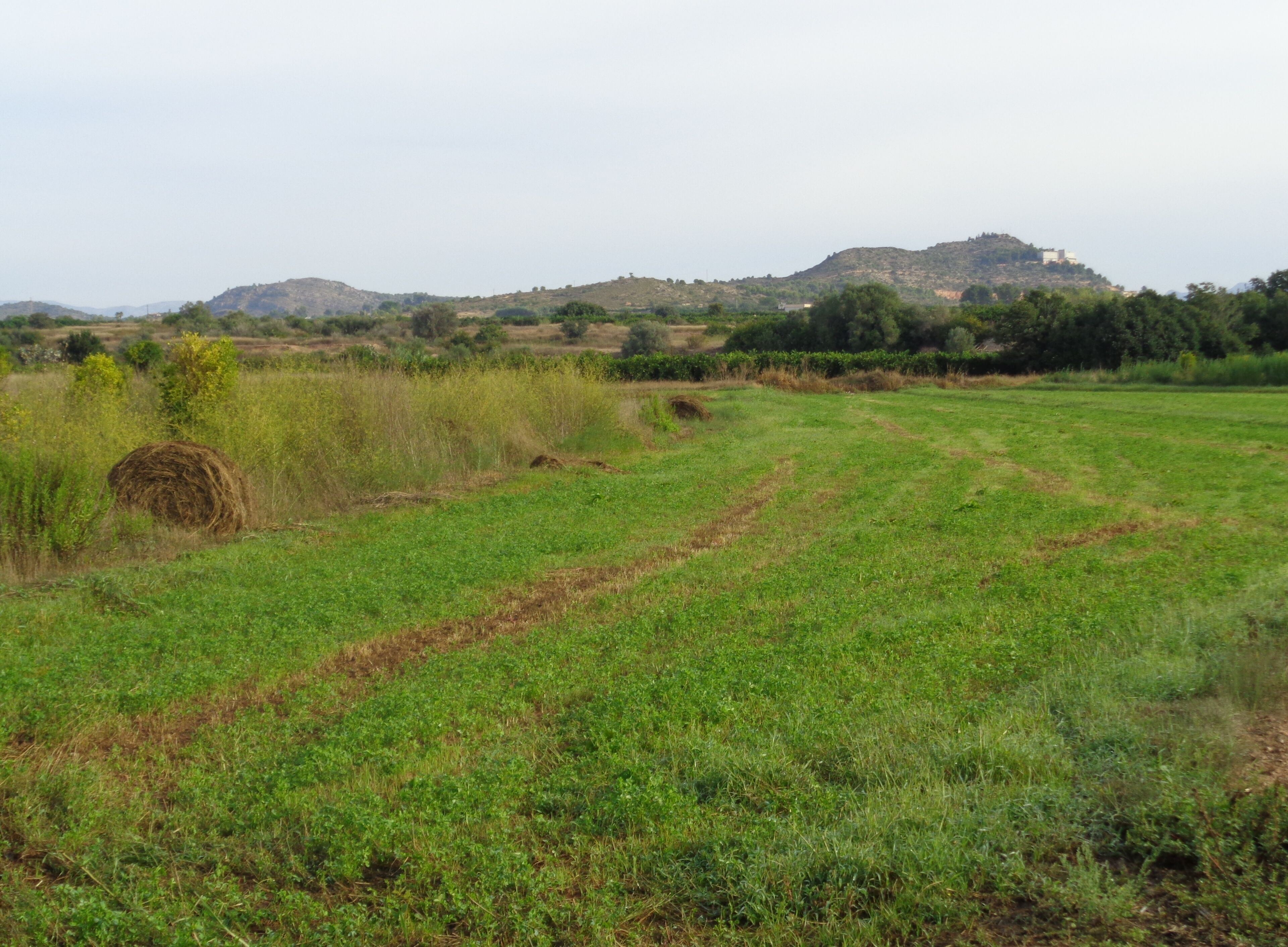 A rural landscape with a grassy field, hay bales, and distant hills.