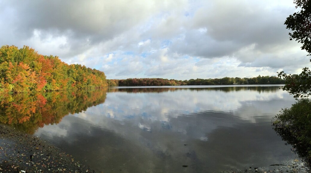 Fall is here in babylon :) I love the colors here #nofilter ..
