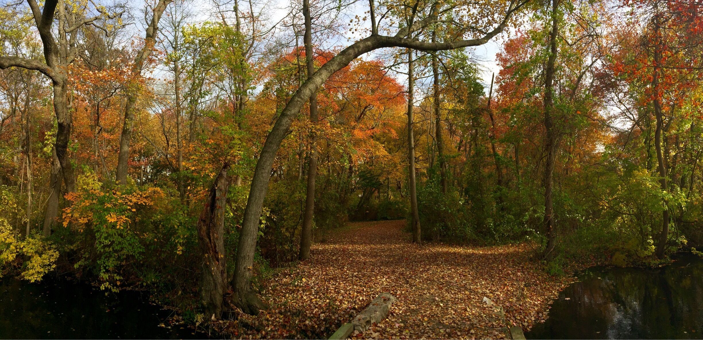 Who don't love fall?