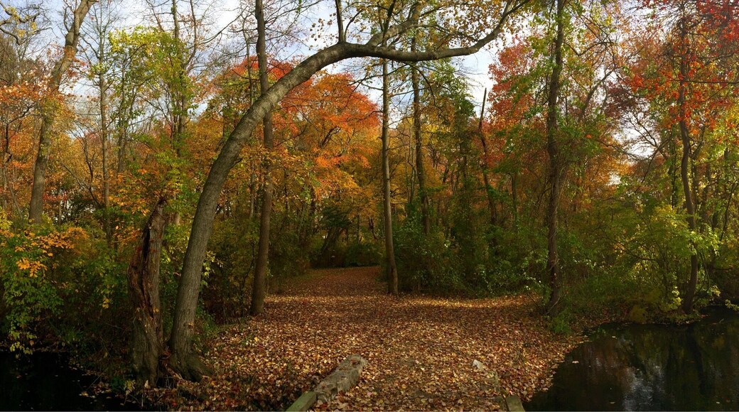 Who don't love fall?