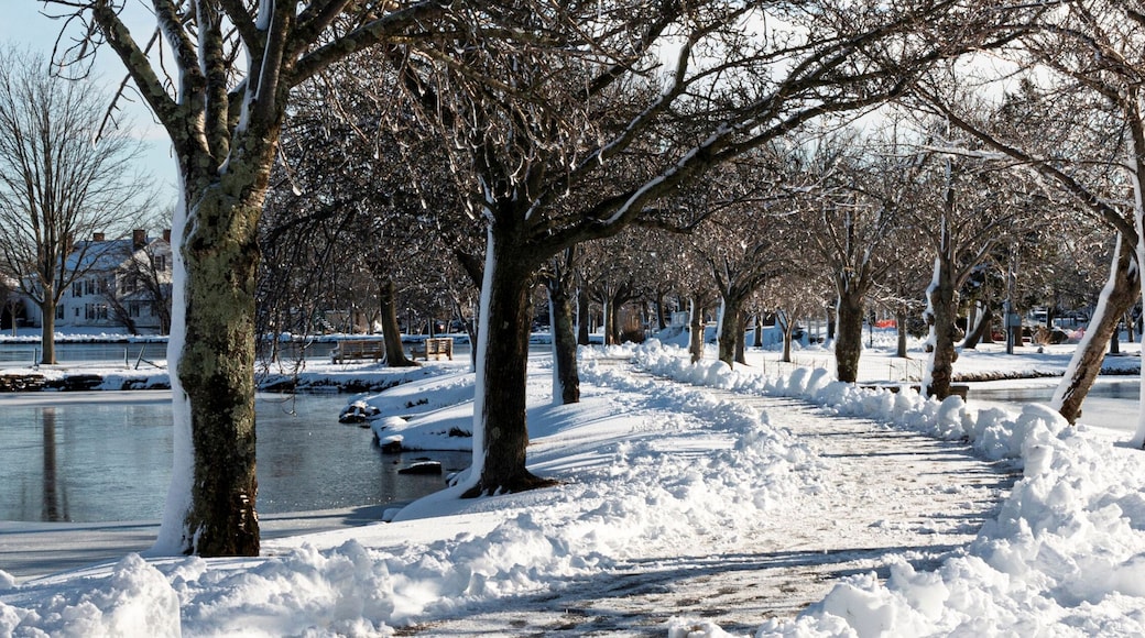 Walking path shoveled after snow storm between two lakes at Argyle Park in Babylon Village