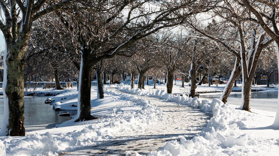 A snow-covered park with a frozen lake, leafless trees, and houses in the background.