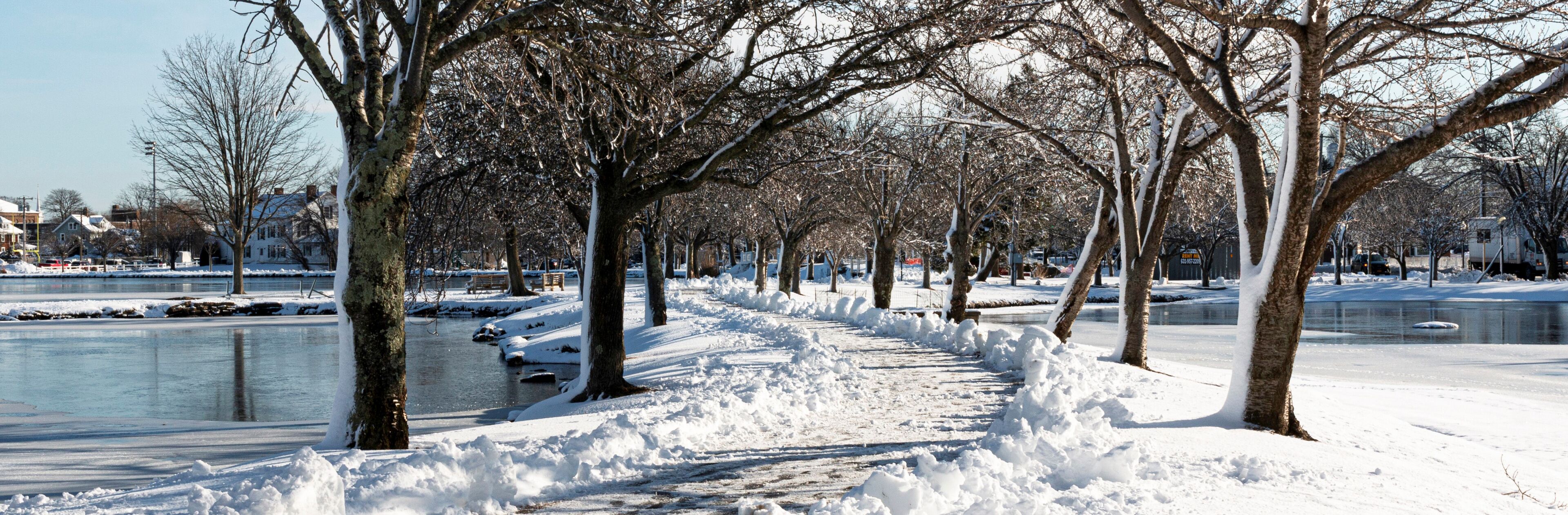 A snow-covered park with a frozen lake, leafless trees, and houses in the background.
