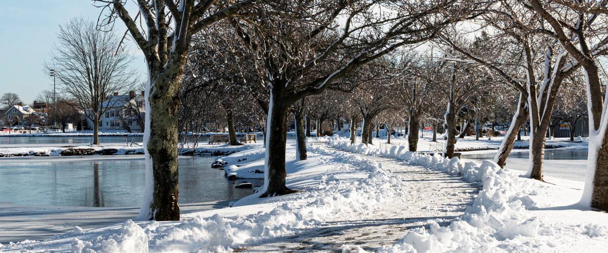 A snow-covered park with a frozen lake, leafless trees, and houses in the background.