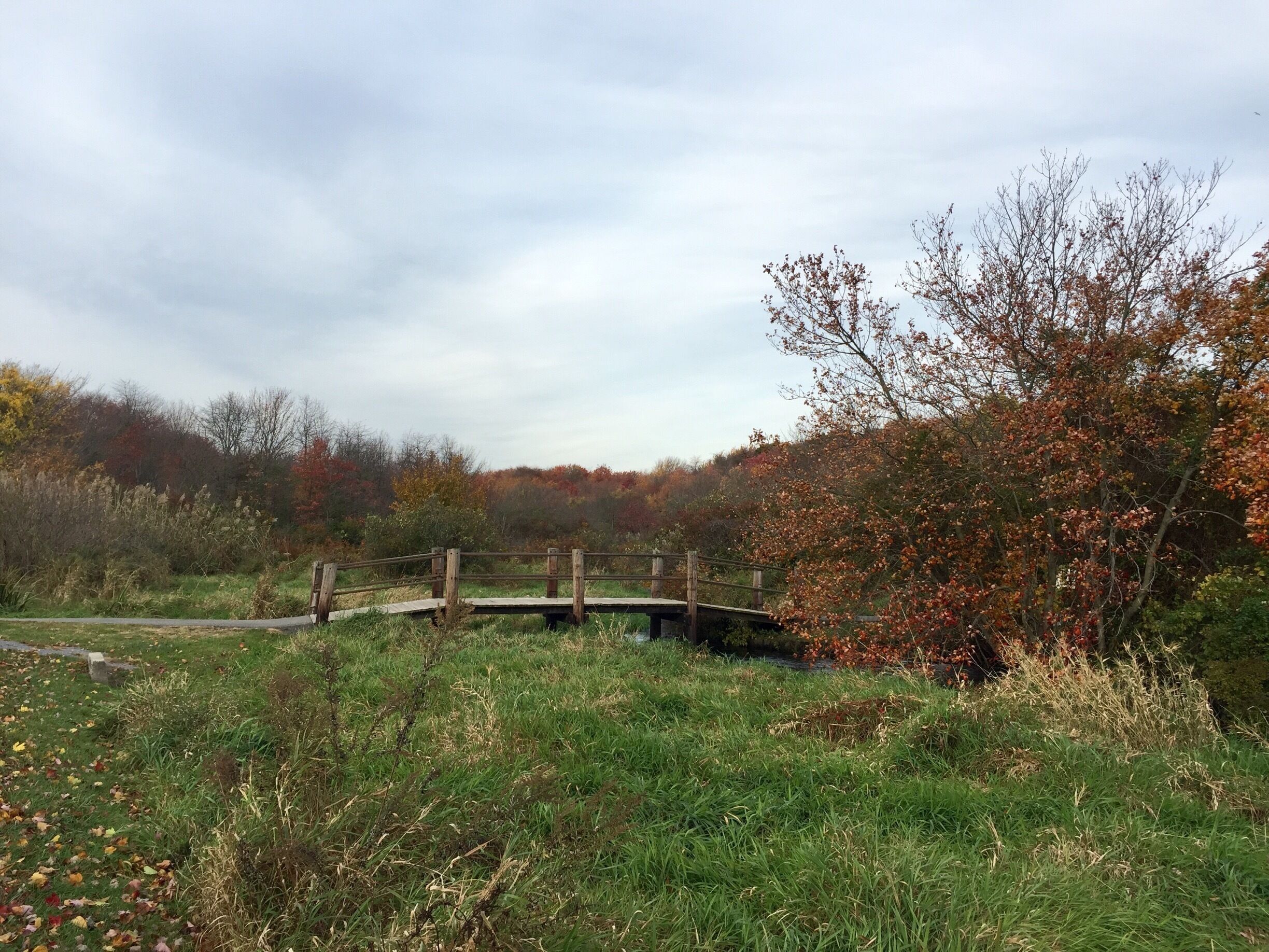 One of the many wooden bridges