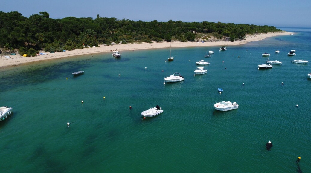 This beach is at the end of the road. As far as you can drive on the isle-de-ré. Was only 5 or 6 people on the beach for most of the day
