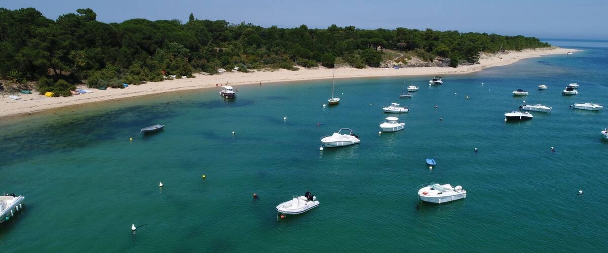 A coastal area with numerous boats anchored in clear blue waters, a sandy beach, and a forested hillside.