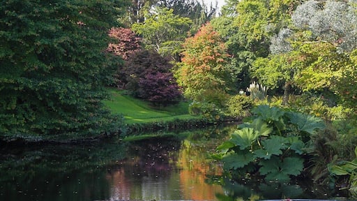 the autumn colours are just arriving at Mount Usher Gardens, Co Wicklow