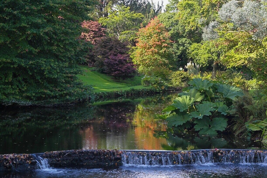 the autumn colours are just arriving at Mount Usher Gardens, Co Wicklow