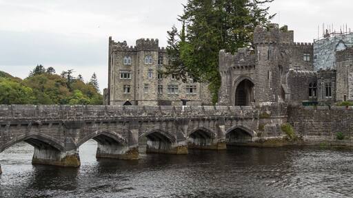 An amazing day at the beautiful Ashford Castle built in 1228. Web banner.