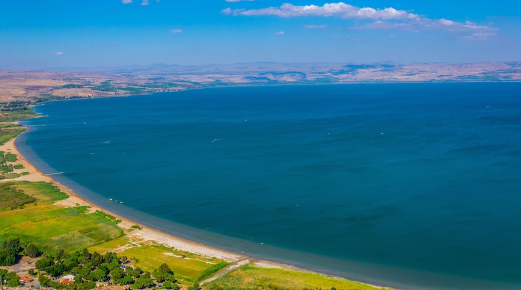 키네레트