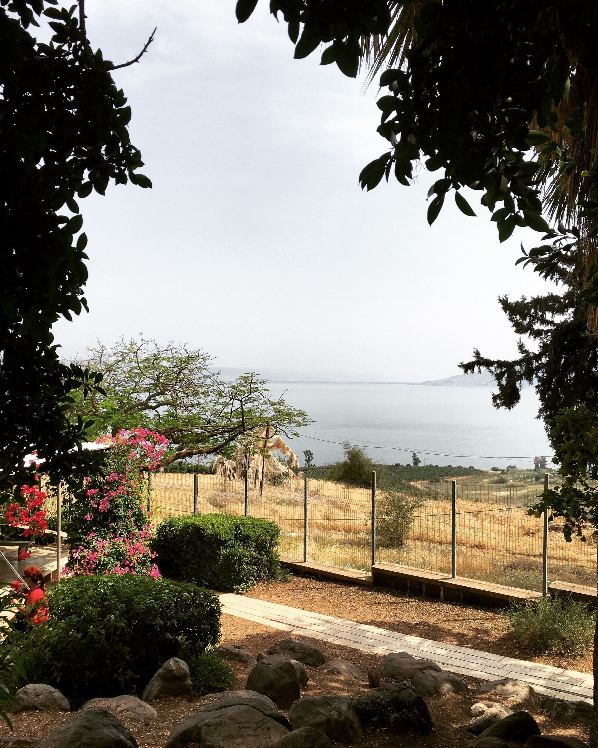 I'm undone. Salaam, Shalom. "Blessed are the peacemakers, for they will be called the children of God." Matthew 5:9