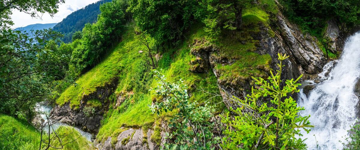 A waterfall cascading down a moss-covered cliff surrounded by lush greenery and trees.