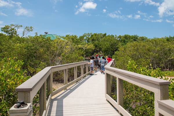 J. N. Ding Darling National Wildlife Refuge showing a bridge as well as a small group of people