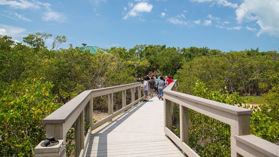 J. N. Ding Darling National Wildlife Refuge showing a bridge as well as a small group of people