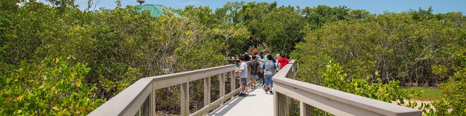 J. N. Ding Darling National Wildlife Refuge showing a bridge as well as a small group of people