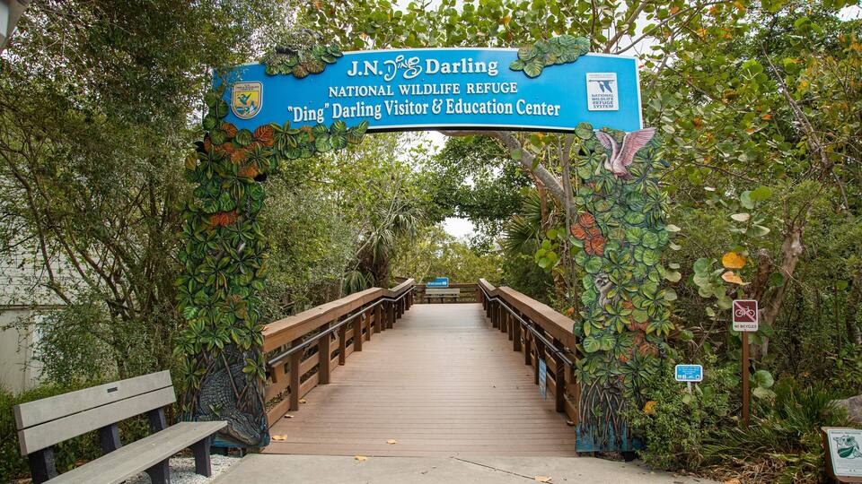 A wooden boardwalk leading to J.N. Ding Darling National Wildlife Refuge Visitor & Education Center, surrounded by lush greenery.