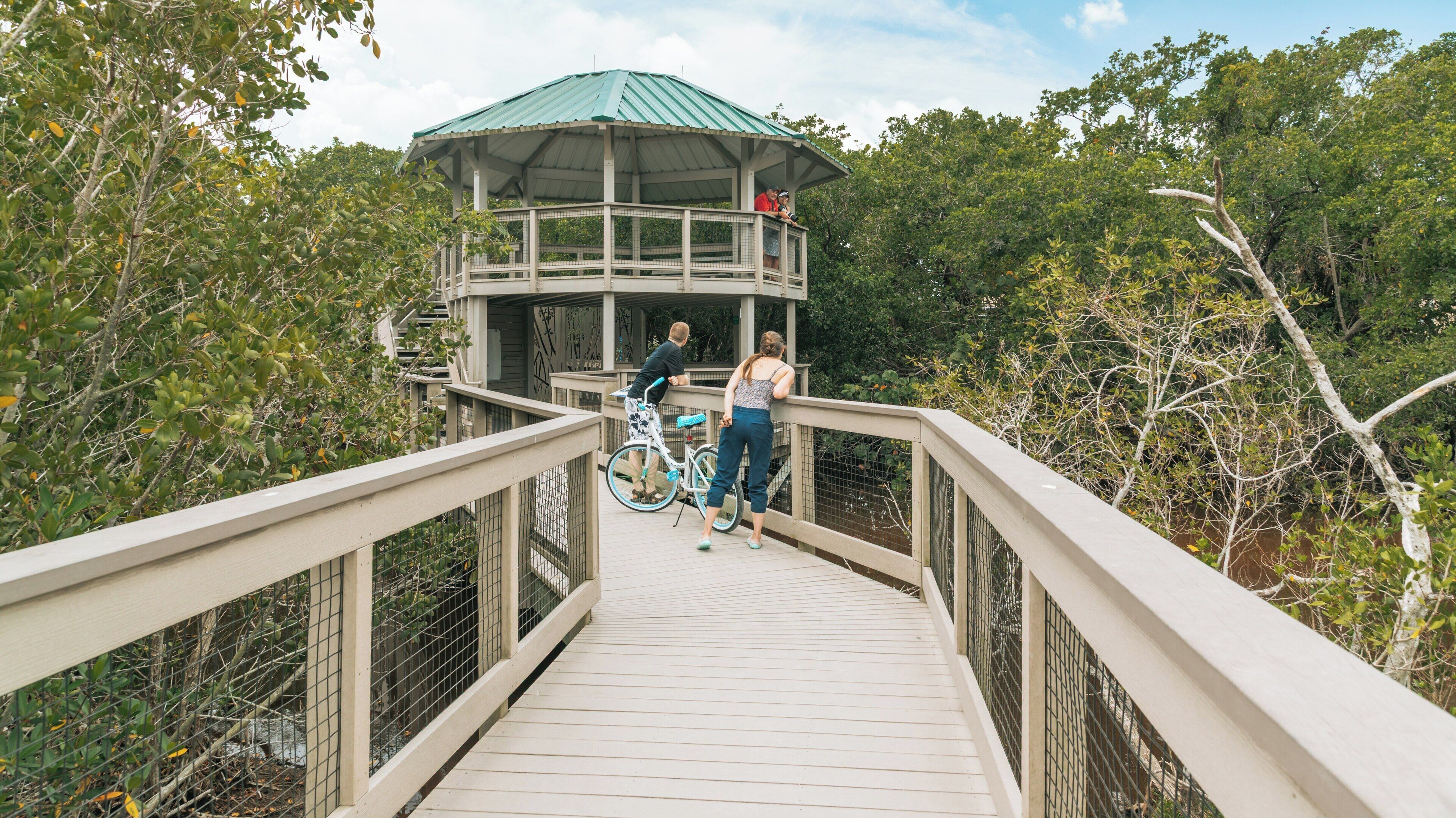 Exploring J. N. Ding Darling National Wildlife Refuge in Sanibel, Florida with family and friends on a sunny day