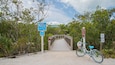 A wooden boardwalk leading to a wildlife education center, surrounded by dense foliage and a clear sky.