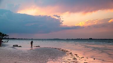 Fort Myers featuring a sunset and general coastal views