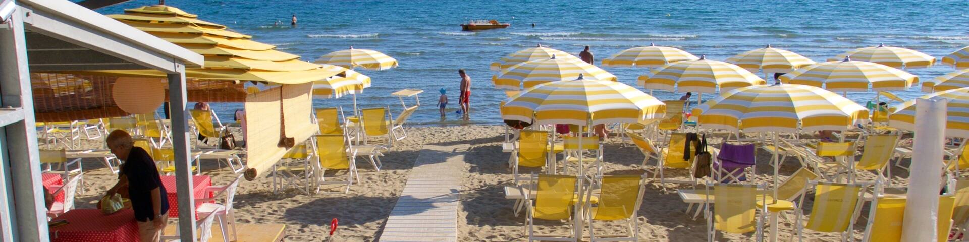 A beach with yellow and white striped umbrellas, sun loungers, and a wooden fence with red flowers.