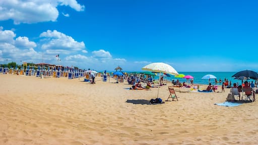 ์
๋ฆฌ์ ๋ง๋ฆฌ๋