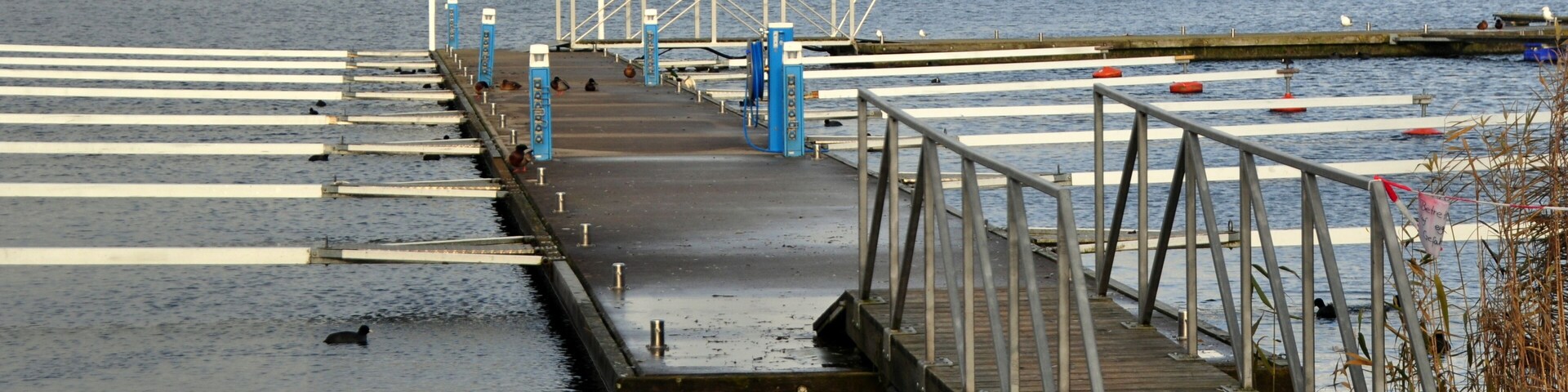 Verwaister, winterlicher Bootsanleger mit Ufer im Hintergrund