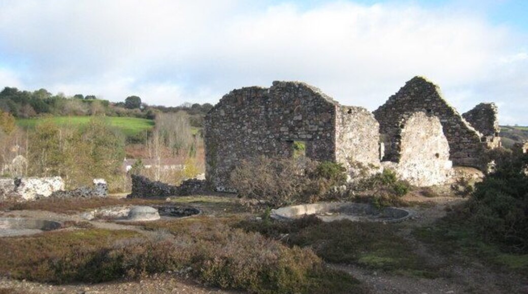 Remains of mine workings at Poldice mine The three circular pits in the foreground are buddles, where the tin particles would have been separated from the slurry.