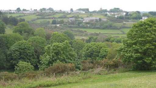View across Little Carharrack towards St Day