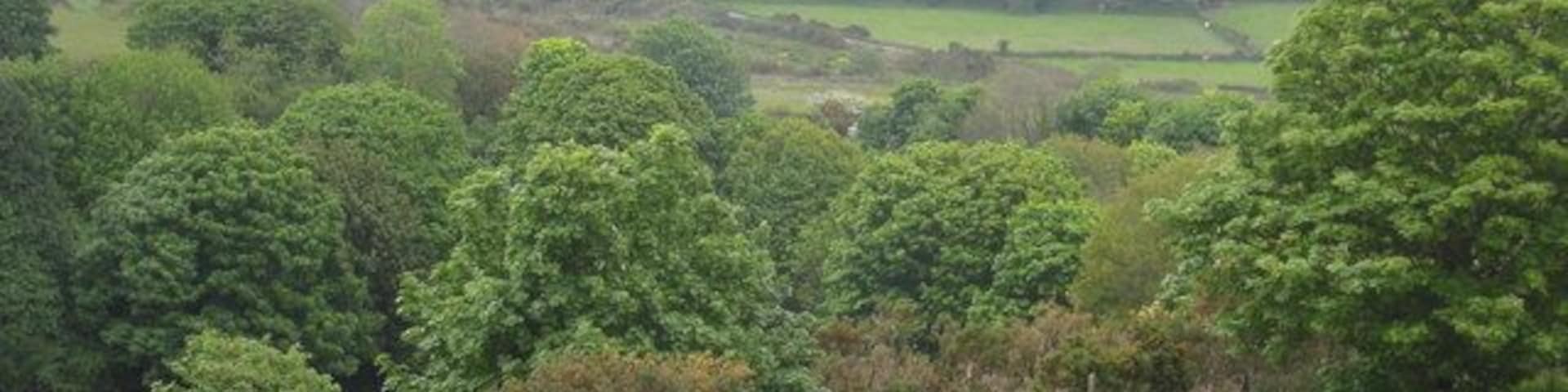View across Little Carharrack towards St Day