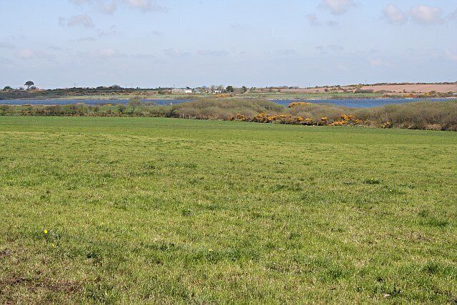 Pasture on the edge of Stithians Reservoir