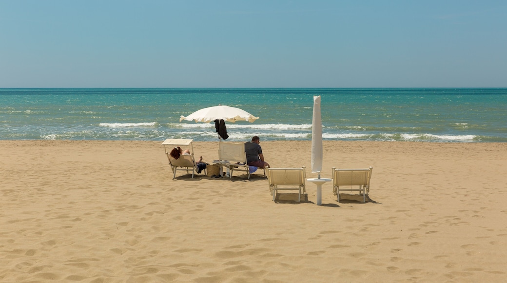 Una playa arenosa con algunas sillas y un paraguas blanco.